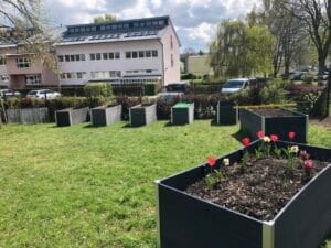 Stadtteilbüro Gemeinschaftsgarten